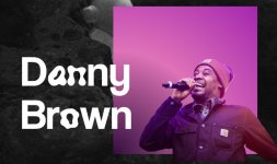 Danny Brown.jpg
