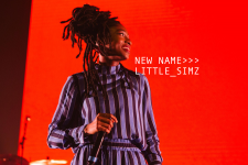 simz.png