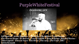 PWFestivalZwangereGuy.png