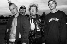 rancid-rattlesnake-001.jpg