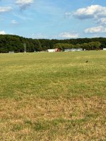 IMG_4173.jpeg