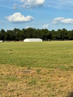 IMG_4172.jpeg