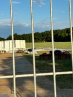 IMG_4184.jpeg