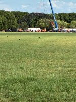 IMG_4193.jpeg