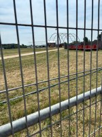 IMG_4203.jpeg