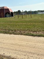 IMG_4221.jpeg