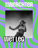 Blauw en Geel Retro Tulpen Festival Instagram-bericht (3).png