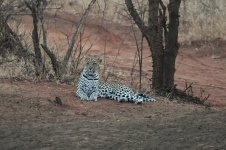 DSC_3201.JPG