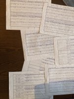 IMG_4201.jpeg