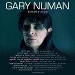 Gary Numan Lokerse Feesten.jpg