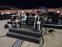 rosalia1.gif