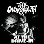 drive in.jpg