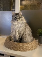 IMG_4356.jpeg