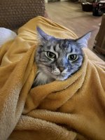 IMG_3717.jpeg