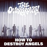 dstroy angels.jpg