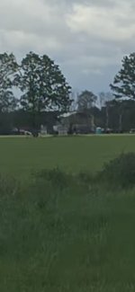 IMG_9319.jpeg