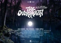 overgrowth3.jpg