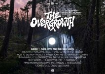 overgrowth2.jpg