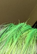 IMG_0224.jpeg IMG_0224.jpeg