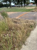 IMG_4788.jpeg