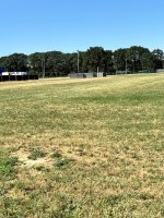 IMG_4802.jpeg