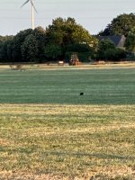 IMG_4820.jpeg