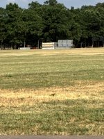 IMG_4846.jpeg