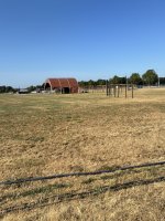 IMG_4883.jpeg