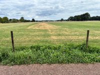 IMG_4899.jpeg