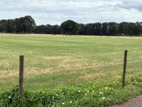 IMG_4900.jpeg