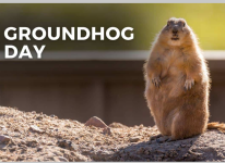 Groundhog Day.PNG