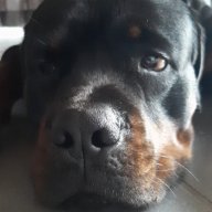 Emperor