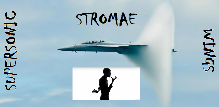 Supersonic-Wings-Stromae.png