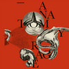 convulsif.bandcamp.com