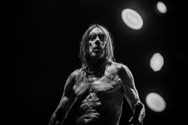 Iggy-Pop-Image.jpg