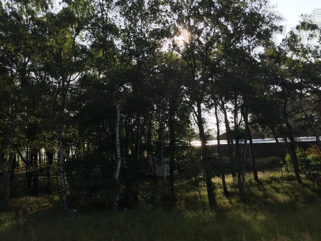 IMG_20180606_WA0023.jpg