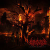 lefttosuffer.bandcamp.com