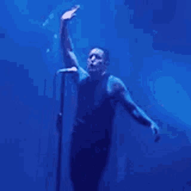 tenor.gif