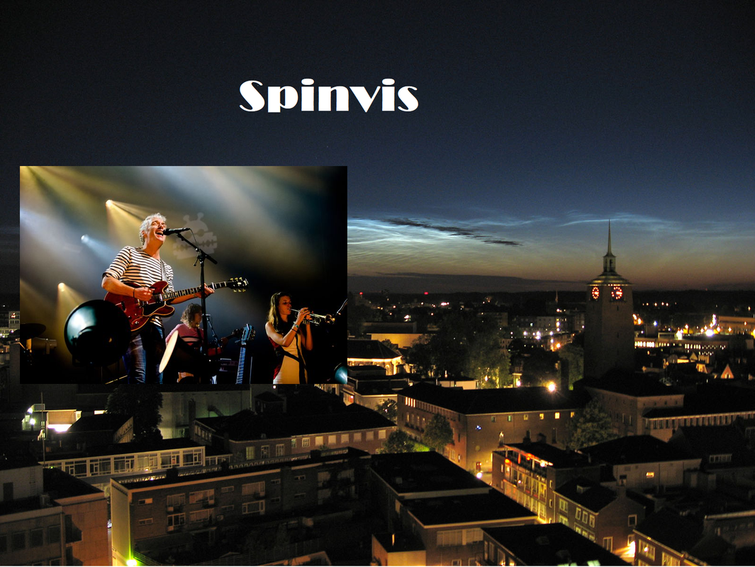 Spinvis.png