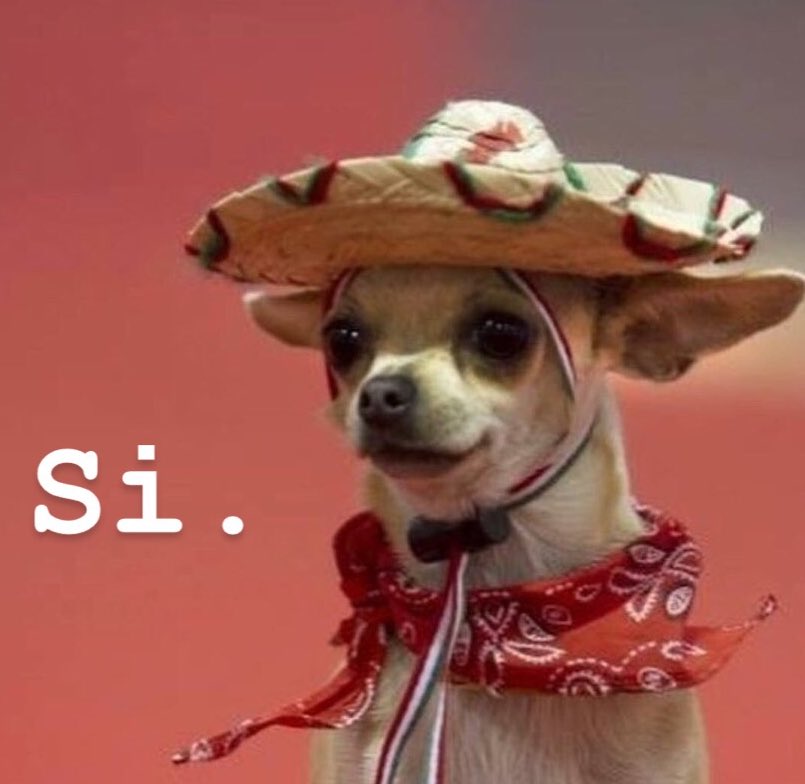 Maruf on X: me: trust me i speak spanish waiter: tacos or burritos? me:  https://t.co/V6oFsWmnM8 / X
