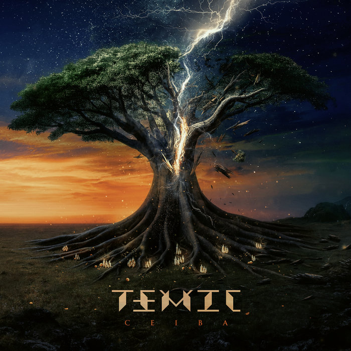 temic.bandcamp.com