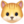 🐱