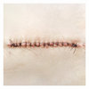 letempsduloup.bandcamp.com