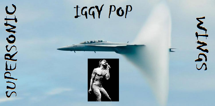 Supersonic-Wings-Iggy.png