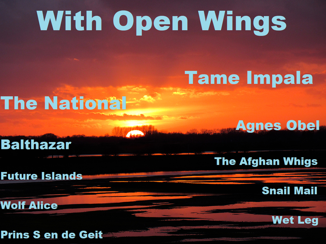 With-open-Wings-1daagse.png