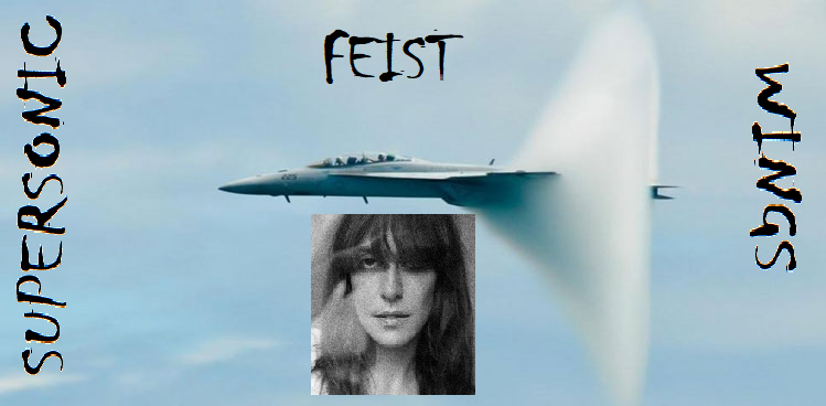 Supersonic-Wings-Feist.png